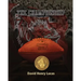 The Championship: The story of the 1969 University of South Carolina football team