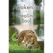 Awakening the Healing Soul: Indigenous Wisdom for Today's World