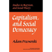 Capitalism and Social Democracy