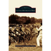 Laconia Motorcycle Week