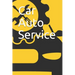Car Auto Service