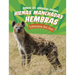 Hienas Manchadas Hembras: Lideresas del Clan