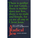 A Radical Jew: Paul and the Politics of Identity Volume 1