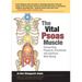 The Vital Psoas Muscle: Connecting Physical, Emotional, and Spiritual Well-Being