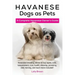 Havanese Dogs as Pets: Havanese breeding, where to buy, types, care, temperament, cost, health, showing, grooming, diet, training, and much m