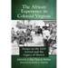 The African Experience in Colonial Virginia: Essays on the 1619 Arrival and the Legacy of Slavery