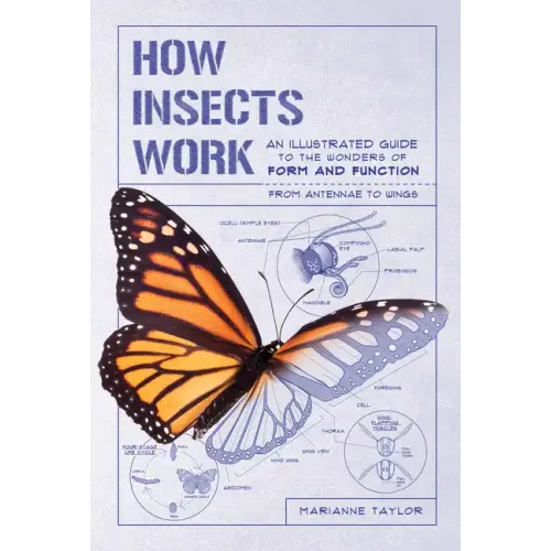 How Insects Work: An Illustrated Guide to the Wonders of Form and Function - From Antennae to Wings