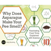 Why Does Asparagus Make Your Pee Smell?: Fascinating Food Trivia Explained with Science
