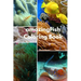 Amazing Fish Coloring Book: For Kids Ages 2-6 Sea Animals Ocean Creatures Great and small fish, and big undersea Adventure. : 6inchx9inch 99 pages