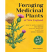Foraging Medicinal Plants of New England: How to safely identify and prepare over 100 medicinal plants for herbal remedies