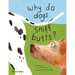 Why Do Dogs Sniff Butts?: Curious Questions about Your Favorite Pets