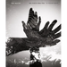 Nino Migliori: An Endless Search