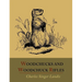Woodchucks and Woodchuck Rifles [Illustrated Edition]