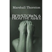 Boystown 6: From The Ashes