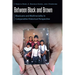 Between Black and Brown: Blaxicans and Multiraciality in Comparative Historical Perspective
