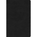 ESV Value Compact Bible (Trutone, Black)