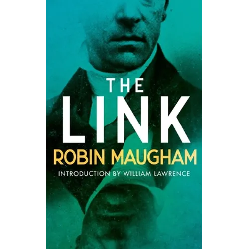 The Link: A Victorian Mystery