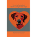 The Little Poetry Book about Loving Vizsla Dogs