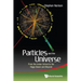 Particles and the Universe