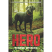 Hero: Rescue Mission