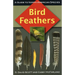 Bird Feathers