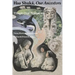 Haa Shuká, Our Ancestors: Tlingit Oral Narratives