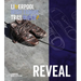 Liverpool Irish Famine Trail: Reveal: A Creative Exploration in Revealing Liverpool's Connection with an Gorta Mór