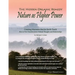 The Hidden Organic Remedy: Nature As Higher Power: Creating Moments That Let Earth Teach