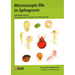 Microscopic Life in Sphagnum