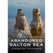 Abandoned Salton Sea: Dystopian Panoramas