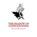 The Shadow of Consciousness: A Little Less Wrong