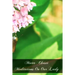 Mater Christi Meditations On Our Lady