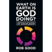 What on Earth Is God Doing?: Understanding the Experience of Discipleship
