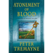 Atonement of Blood: A Mystery of Ancient Ireland