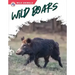 Wild Boars