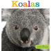 Seedlings: Koalas