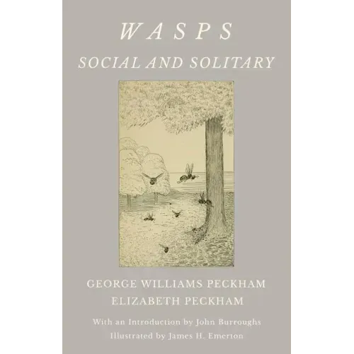 Wasps - Social and Solitary;With an Introduction by John Burroughs - Illustrated by James H. Emerton