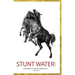 Stunt Water: The Work of Buddy Wakefield 1991-2011
