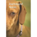 Dachshund Notes
