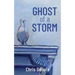 Ghost of a Storm