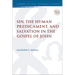Sin, the Human Predicament, and Salvation in the Gospel of John