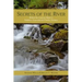 Secrets of the River: Riding the Creative Wave in Pediatric Hypnosis and Family Therapy