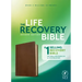NLT Life Recovery Bible, Second Edition (Leatherlike, Rustic Brown)