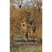 Katie's Mysterious Treehouse Friends