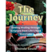 The Journey: Finding Healing through Scripture from Life's Hard Questions