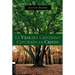 La Vida del Cristiano Centrada En Cristo: La Gran Transformación