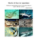 Sharks & Rays in Aquariums: Gaining an understanding of how to keep these fishes in captive saltwater systems