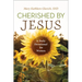 Cherished by Jesus: A Daily Devotional for Women