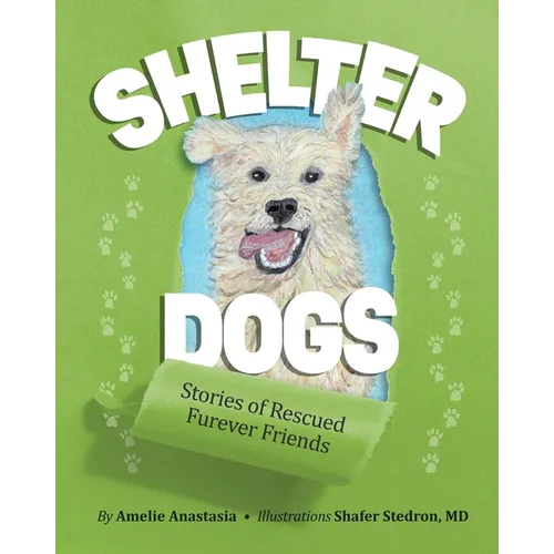 Shelter Dogs