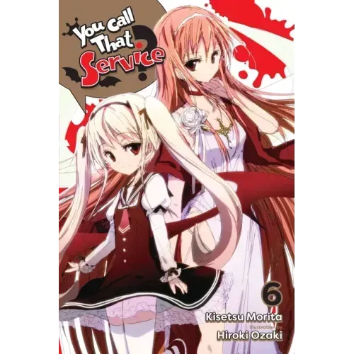You Call That Service?, Vol. 6 (Light Novel): Volume 6